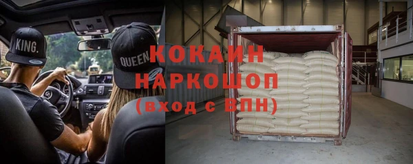 прущий лед Алзамай