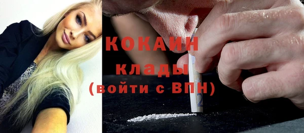 прущий лед Алзамай