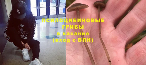 СК Алексеевка