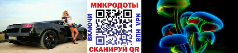 Галлюциногенные грибы Psilocybe  дарнет шоп  Наволоки 
